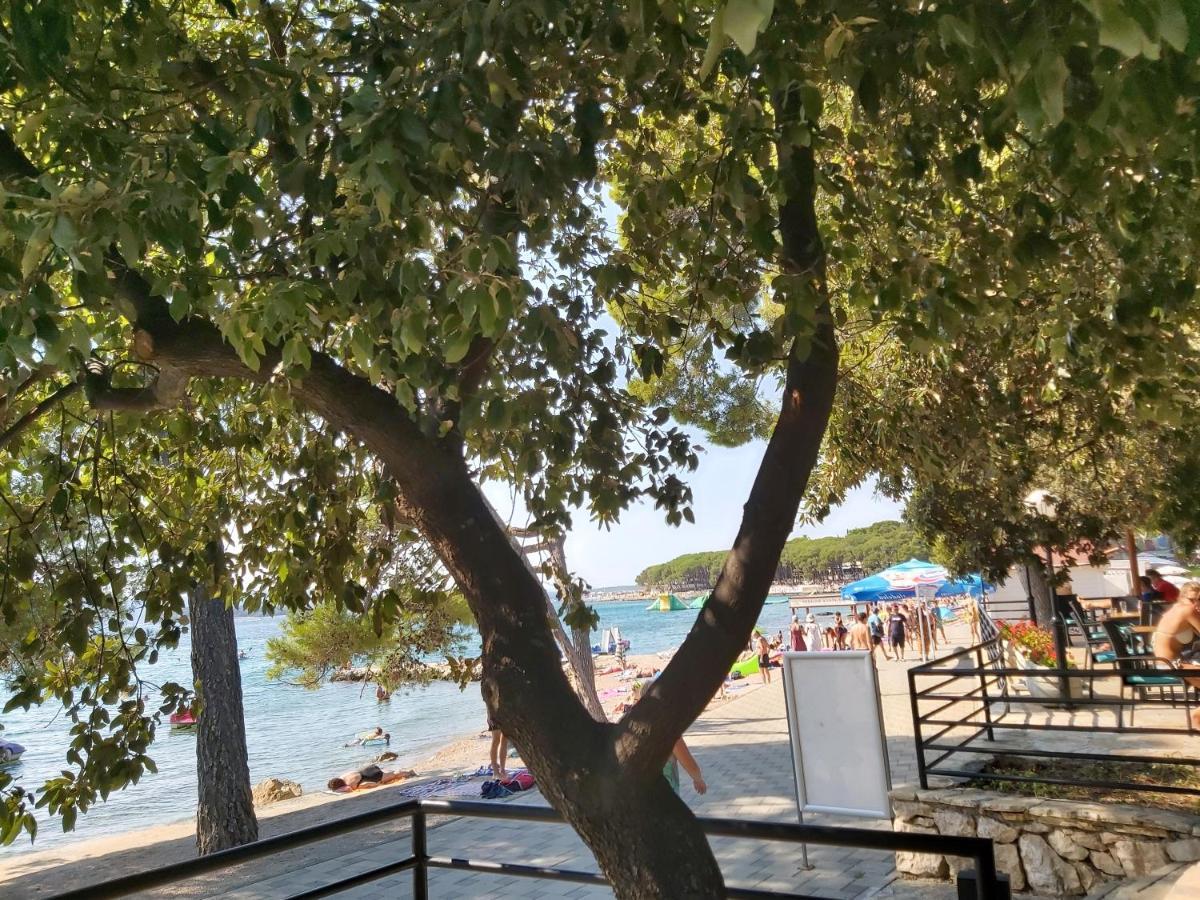 Mobile Home Sole Biograd na Moru Kültér fotó