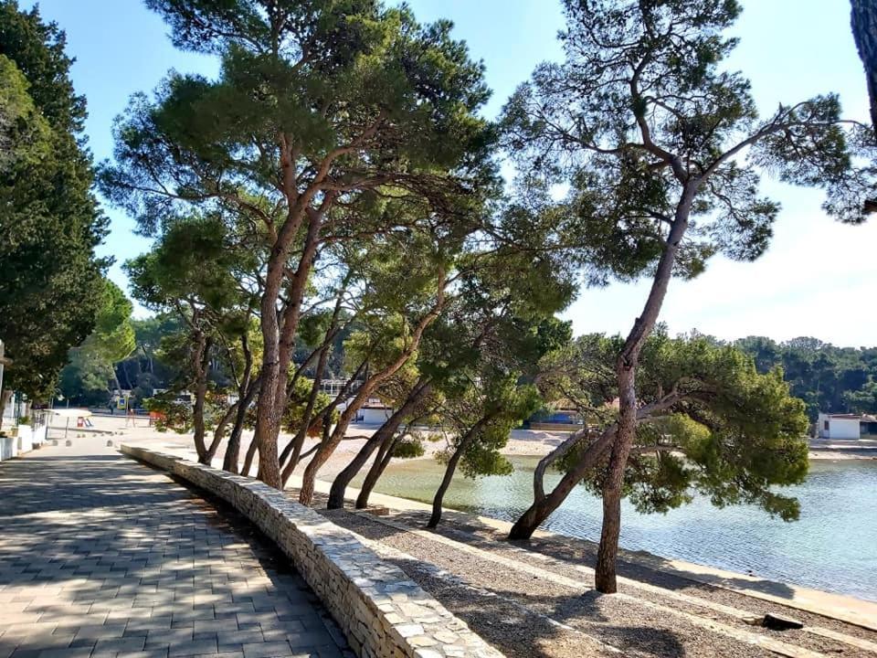 Mobile Home Sole Biograd na Moru Kültér fotó